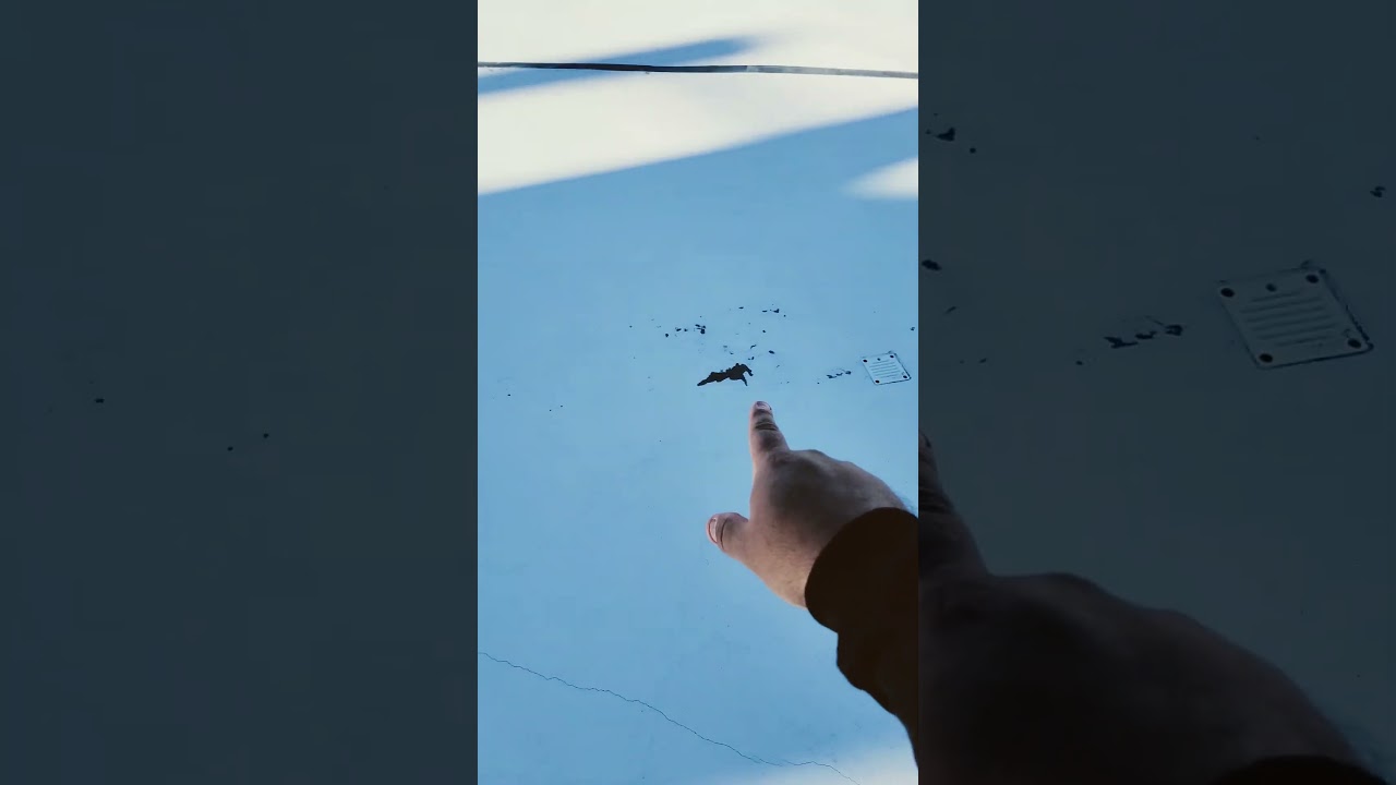 Wave pool fresh paint! 