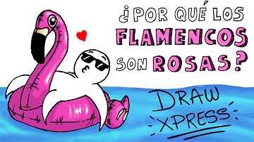 ¿Por qué los flamencos son rosas?