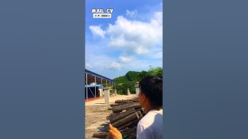 Diều mẹ bồng con ăn lèo trái - Flute Kite | MAIL CV