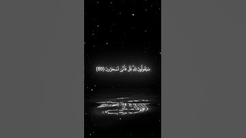 قل لمن الارض ومن فيها ان كنتم تعلمون بصوت الشيخ ياسر الدوسري | سورة المؤمنون