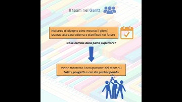 Il team integrato nel GANTT di  T-PPM Project Portfolio Management