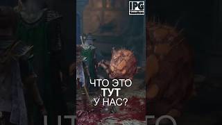 Не надо лизать пауков в Baldur’s Gate 3! Или всё-таки надо? 🕷️🤢 | Краткий обзор / новости / юмор