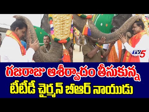 TTD Chairman BR Naidu Takes GAJARAJU Blessings | Tirumala Brahmotsavaalu 2025 | TV5 News - TV5NEWS