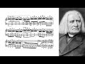 Miniature de la vidéo de la chanson Hungarian Dance In D Minor, Woo 1 No. 14