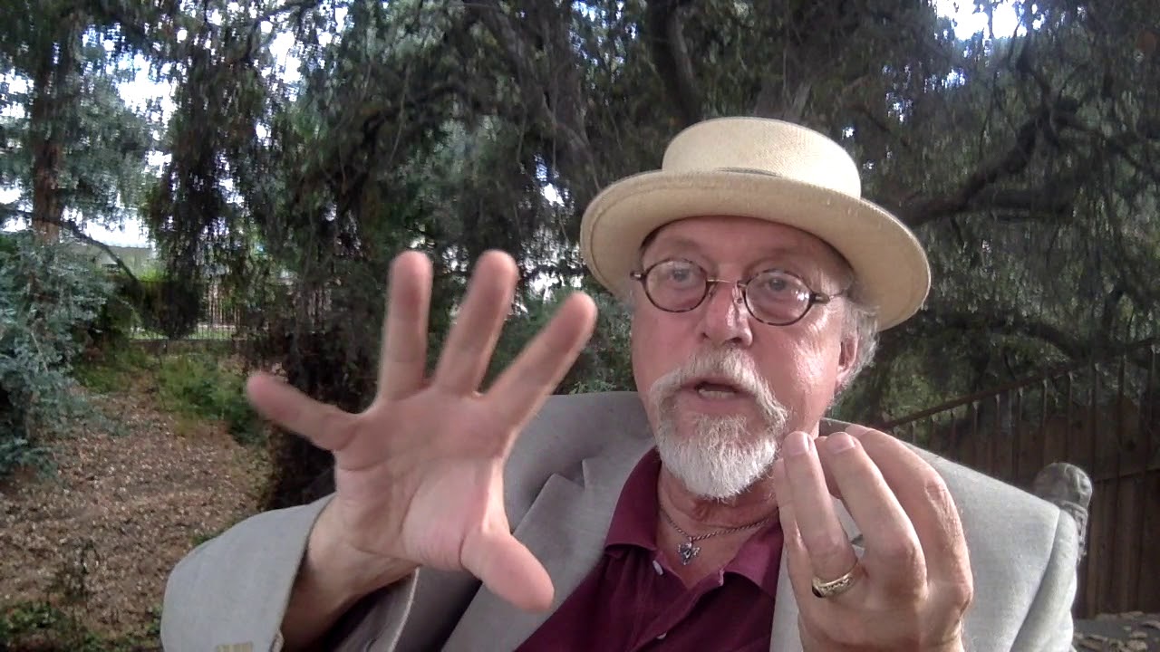 4 Professional-to-Professional Conversation with Dr. Childress: The Attachment Symptoms