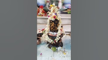 शमी पत्र के साथ काले तिल का उपाय #mhadevbhakt #pradeepmishraji #shivmahapurankatha #shamipatra