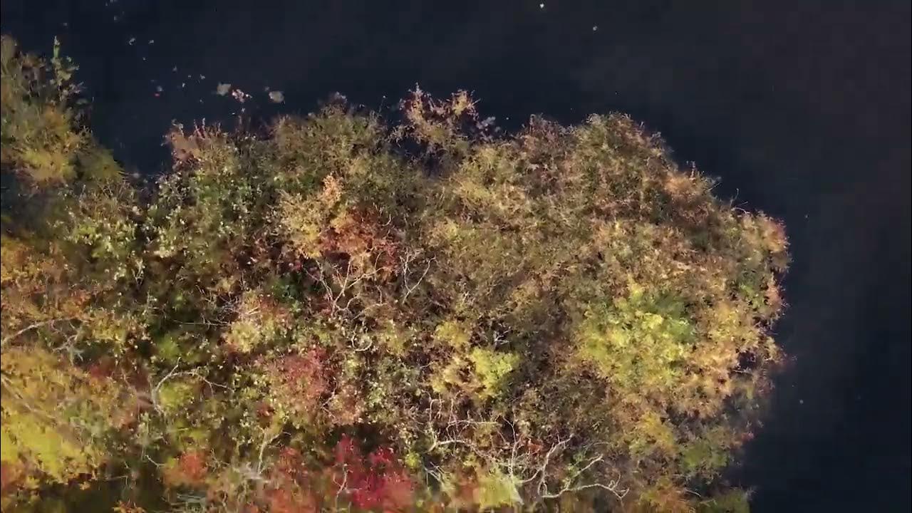 The Mysterious Moving Islands of Stow's Ministers Pond 2022 YouTube