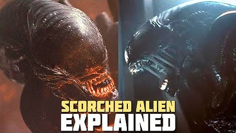 What is the Scorched Xenomorph from Alien Romulus?
