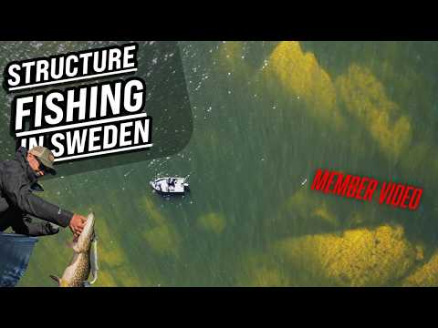 Member Premiere: The Madness Continues - Structure Fishing for Pike in Sweden