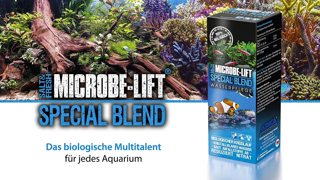Microbe-Lift Special Blend - Boutique en ligne Olibetta