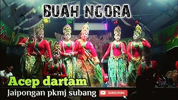 BUAH NGORA ACEP DARTAM