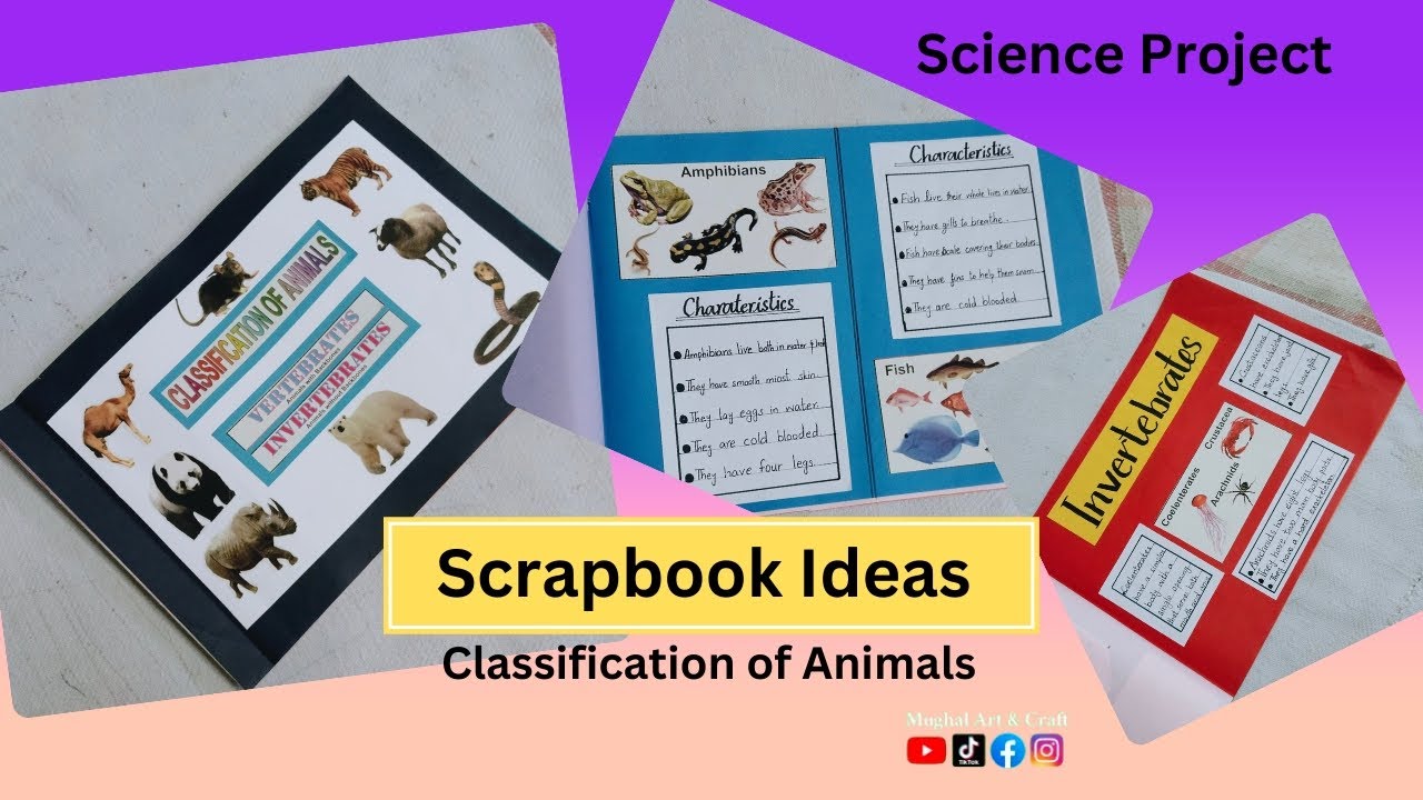 How to Make a Scrapbook for Classification of Animals | Step-by-Step ...