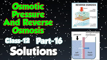 Osmotic Pressure & Reverse Osmosis ll Solutions ll Class 12 ll Part  16 ll