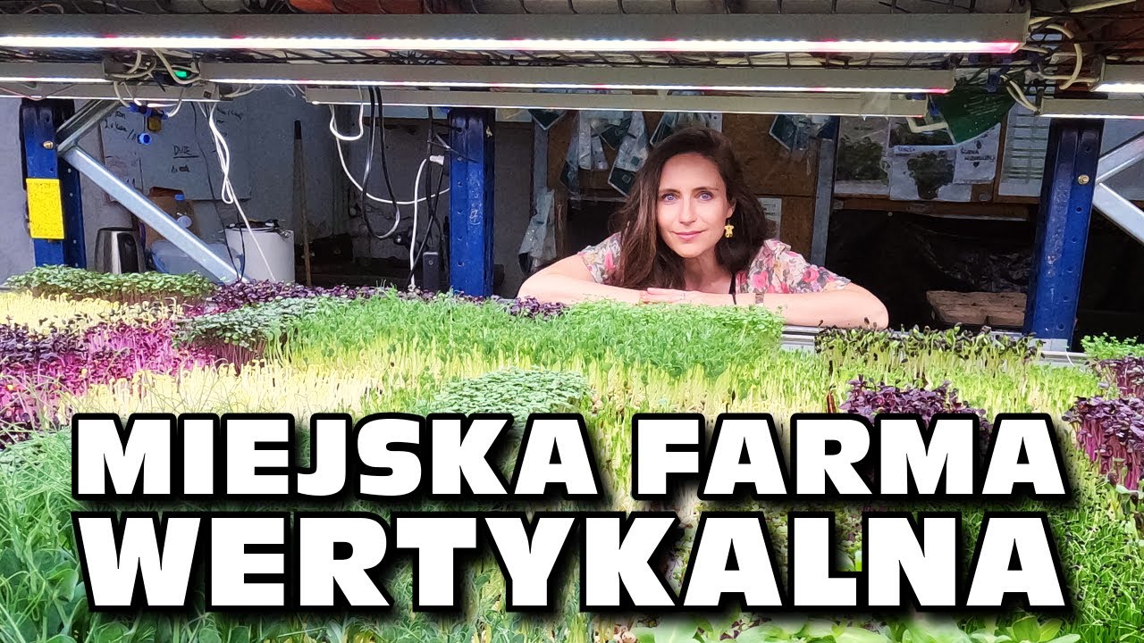Miejska farma wertykalna na 40 mkw. - część 1/2