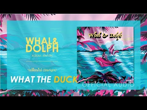 Whal & Dolph - เปลี่ยนไป (Starlight) [OFFICIAL AUDIO]