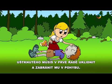 Video: Jedovatý Hadí Kousnutí - První Pomoc Při Kousnutí Hadem / Zmijí