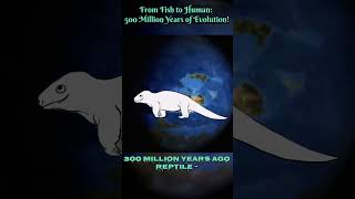 From Fish to Human: 500 Million Years of Evolution! #shorts