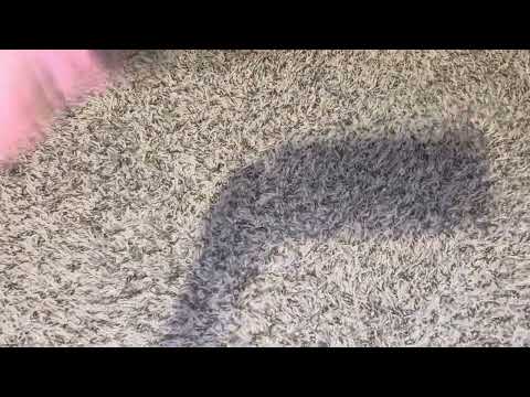 The Maltese Falcon 1986 Canadian VHS Overview 1992 Reprint 