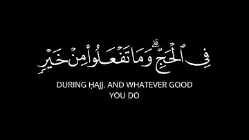 الحج أشهر معلومات | كروما قران بدون حقوق شاشة سوداء القارئ فهد البواردي من سورة البقرة