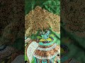 Divyagna's Exclusive Collection Janmashtami Special Saree #divyagna #saree #youtubeshorts