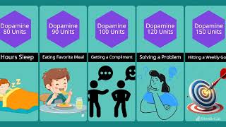 Human Most Pleasurable Things | Comparison