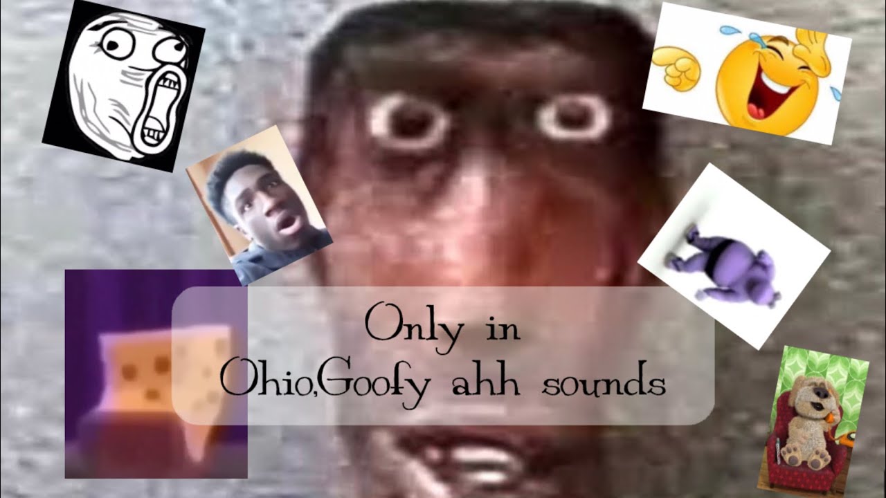 goofy ahh ohio sound effects by Arkhalsi