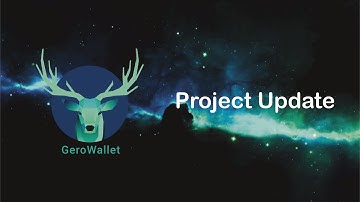 GeroWallet $GERO Project Update: Price Chat, Free NFT & A Bridge