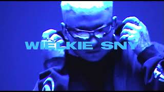 Planbe - Wielkie Sny Prod.sir Michofficial Audio