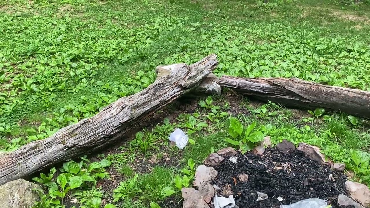 Hiking with the Codgers 2025