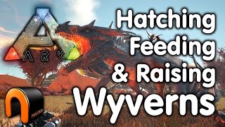 Ark Wyverns - How to Hatch, Feed & Raise Wyvens