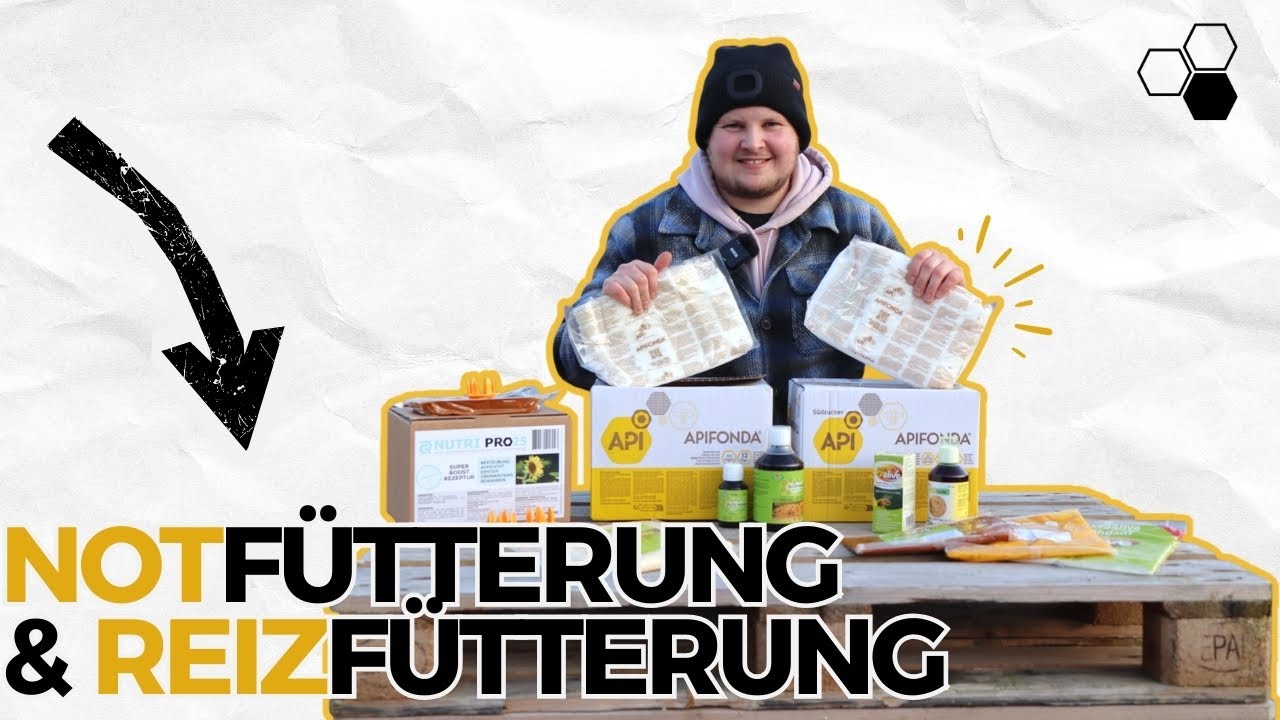 Futter im Winter: #Notfütterung & #Reizfütterung für Imker einfach erklärt 🐝 | the honey factory