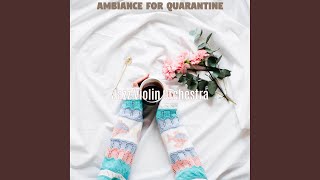Smart Backdrops for Quarantine