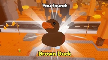 Find the Ducks 2 - Where to Find the Brown Duck (Roblox)