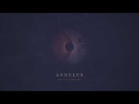 Annulus video preview