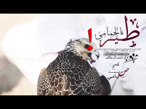 طير الحمامي محمد بن غرمان و نايف ال جلاءب