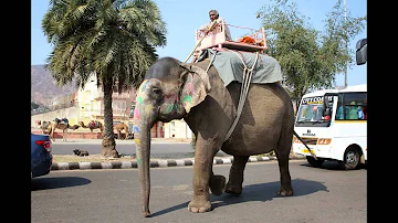 India - 2015 - Jaipur (with music)