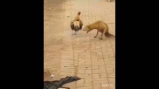 Subscribe for more fun #funalways#trending#viral#short