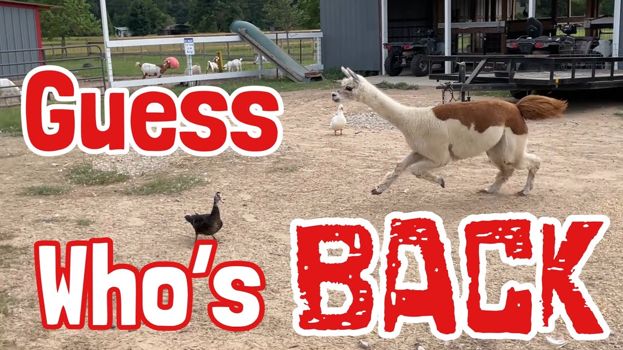 You’ll Never Believe This!