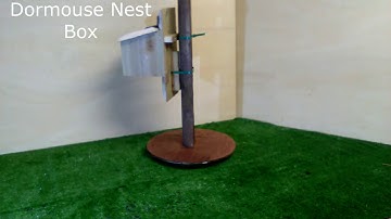 Dormouse Nest Box