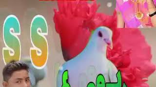 Dj K P S S ಕರಯಷನ