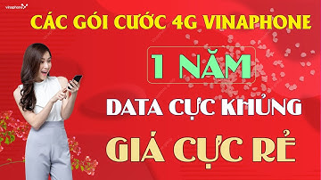 Các Gói Cước 4G Vinaphone 1 Năm. DATA CỰC KHỦNG - GIÁ CỰC RẺ
