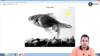 MATLAB Program Motion Blur -Image Restoration - Image Processing