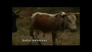 Mzansi Magic - Isibaya Theme Song (2013 - 2021) 