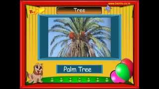 Lets Learn about Trees Preschool Video Profile