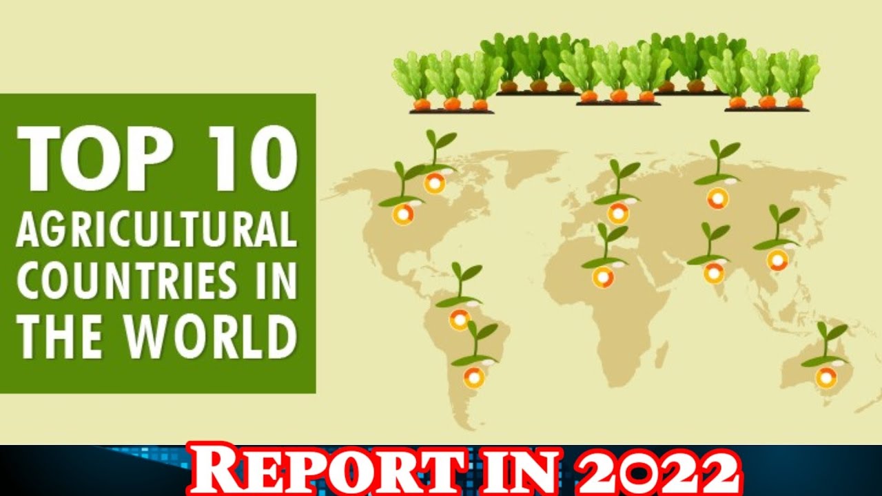 Top 10 Agricultural production countries