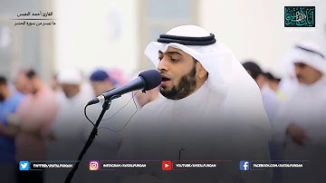 Ahmad Al Nufais surah Hashr |  تلاوة بديعة من سورة الحشر القارئ أحمد النفيس