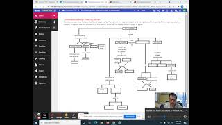 Cellular processes Graphic Organizer explained
