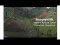 Biyoçeşitlilik doğanın mucizesi