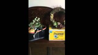 2016423 claires on cedros