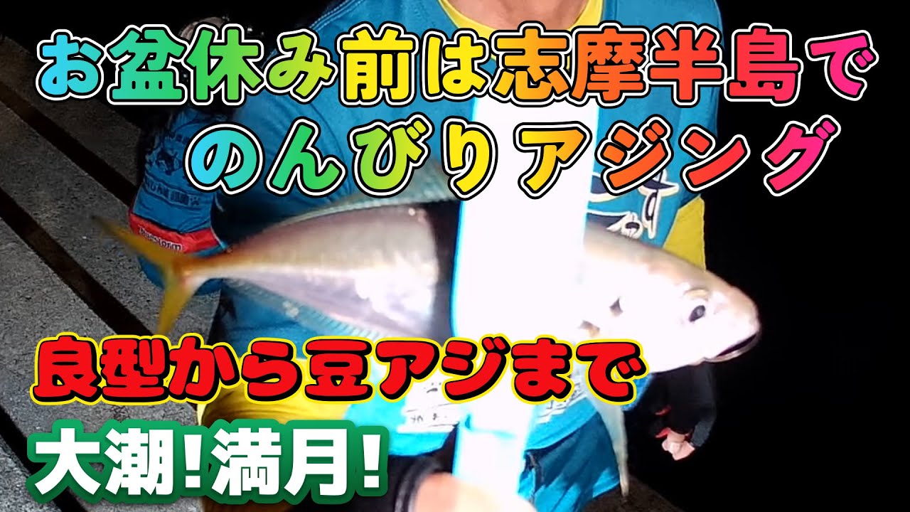 2025.8.8 お盆休み前の志摩半島でのんびりアジング